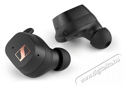 Sennheiser Sport true wireless vezet&eacute;k n&eacute;lk&uuml;li f&uuml;lhallgat&oacute; Audio-Video / Hifi / Multim&eacute;dia - F&uuml;l &eacute;s Fejhallgat&oacute;k - F&uuml;lhallgat&oacute; - 393208