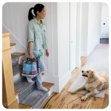 Shark StainStriker HairPro Pet PX250EUT Porsz&iacute;v&oacute; felmos&oacute;val H&aacute;ztart&aacute;s / Otthon / K&uuml;lt&eacute;r - Porsz&iacute;v&oacute; / takar&iacute;t&oacute;g&eacute;p - Sz&aacute;raz-nedves takar&iacute;t&oacute;g&eacute;p - 537290