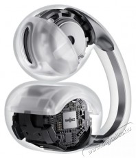 Shokz OpenDots ONE, b&eacute;zs Audio-Video / Hifi / Multim&eacute;dia - F&uuml;l &eacute;s Fejhallgat&oacute;k - F&uuml;lhallgat&oacute; - 525968