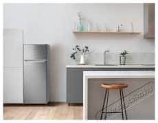 Siguro TF-J240S Fresh Hűtőszekr&eacute;ny Konyhai term&eacute;kek - Hűtő, fagyaszt&oacute; (szabadon&aacute;ll&oacute;) - Fel&uuml;lfagyaszt&oacute;s kombin&aacute;lt hűtő - 500672