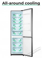 Siguro BF-A241Y Premium Konyhai term&eacute;kek - Hűtő, fagyaszt&oacute; (szabadon&aacute;ll&oacute;) - Alulfagyaszt&oacute;s kombin&aacute;lt hűtő - 509294