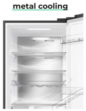 Siguro BF-A241Y Premium Konyhai term&eacute;kek - Hűtő, fagyaszt&oacute; (szabadon&aacute;ll&oacute;) - Alulfagyaszt&oacute;s kombin&aacute;lt hűtő - 509294