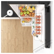 Siguro BF-A241Y Premium Konyhai term&eacute;kek - Hűtő, fagyaszt&oacute; (szabadon&aacute;ll&oacute;) - Alulfagyaszt&oacute;s kombin&aacute;lt hűtő - 509294