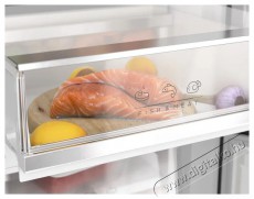 Siguro BF-A241Y Premium Konyhai term&eacute;kek - Hűtő, fagyaszt&oacute; (szabadon&aacute;ll&oacute;) - Alulfagyaszt&oacute;s kombin&aacute;lt hűtő - 509294