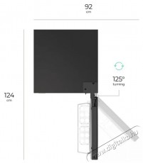 Siguro BF-A241Y Premium Konyhai term&eacute;kek - Hűtő, fagyaszt&oacute; (szabadon&aacute;ll&oacute;) - Alulfagyaszt&oacute;s kombin&aacute;lt hűtő - 509294