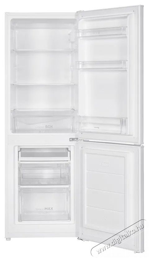 Siguro BF-C241W Essentials Konyhai term&eacute;kek - Hűtő, fagyaszt&oacute; (szabadon&aacute;ll&oacute;) - Alulfagyaszt&oacute;s kombin&aacute;lt hűtő - 509288