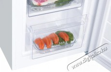 Siguro BF-C241W Essentials Konyhai term&eacute;kek - Hűtő, fagyaszt&oacute; (szabadon&aacute;ll&oacute;) - Alulfagyaszt&oacute;s kombin&aacute;lt hűtő - 509288