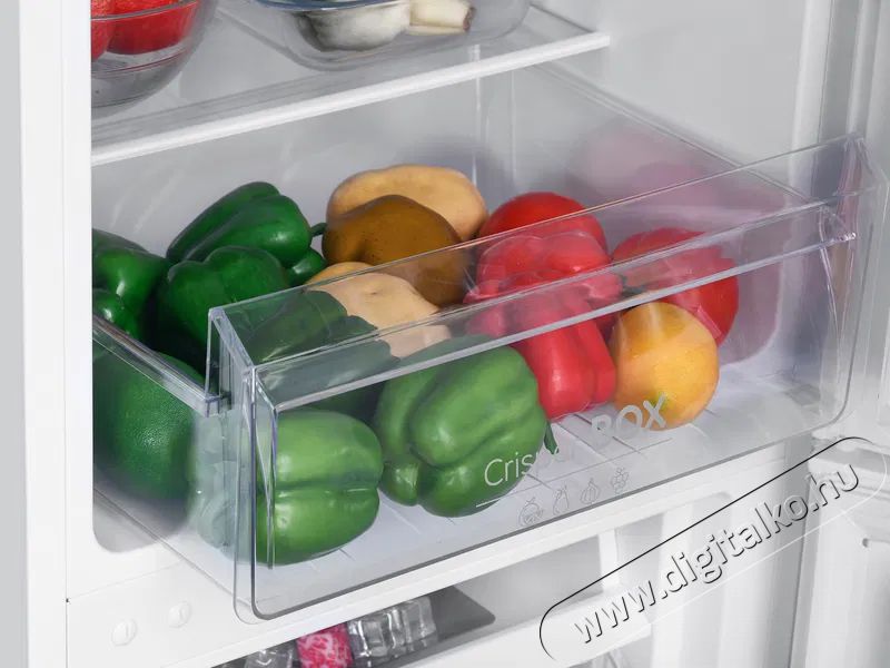 Siguro BF-C241W Essentials Konyhai term&eacute;kek - Hűtő, fagyaszt&oacute; (szabadon&aacute;ll&oacute;) - Alulfagyaszt&oacute;s kombin&aacute;lt hűtő - 509288