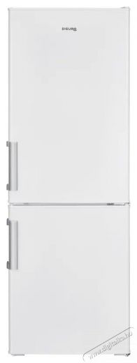Siguro BF-J140W Arctic Konyhai term&eacute;kek - Hűtő, fagyaszt&oacute; (szabadon&aacute;ll&oacute;) - Alulfagyaszt&oacute;s kombin&aacute;lt hűtő - 509298