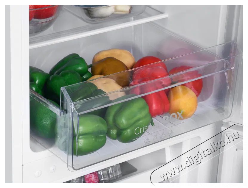 Siguro BF-J140W Arctic Konyhai term&eacute;kek - Hűtő, fagyaszt&oacute; (szabadon&aacute;ll&oacute;) - Alulfagyaszt&oacute;s kombin&aacute;lt hűtő - 509298