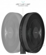 Siguro FN-T571B West Wind H&aacute;ztart&aacute;s / Otthon / K&uuml;lt&eacute;r - Ventil&aacute;tor / L&eacute;gkondicion&aacute;l&oacute; - &Aacute;ll&oacute; / padl&oacute; ventil&aacute;tor - 512353