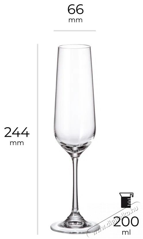 Siguro Locus pezsgőspoh&aacute;r k&eacute;szlet, 200 ml, 6 darab Konyhai term&eacute;kek - Konyhai eszk&ouml;z - Egy&eacute;b konyhai eszk&ouml;z - 526056