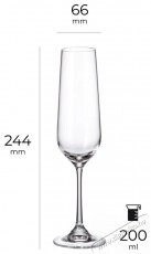 Siguro Locus pezsgőspoh&aacute;r k&eacute;szlet, 200 ml, 6 darab Konyhai term&eacute;kek - Konyhai eszk&ouml;z - Egy&eacute;b konyhai eszk&ouml;z - 526056