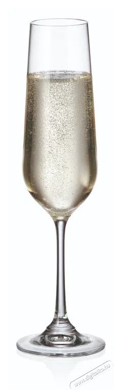 Siguro Locus pezsgőspoh&aacute;r k&eacute;szlet, 200 ml, 6 darab Konyhai term&eacute;kek - Konyhai eszk&ouml;z - Egy&eacute;b konyhai eszk&ouml;z - 526056