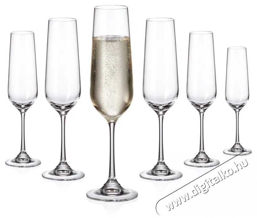 Siguro Locus pezsgőspoh&aacute;r k&eacute;szlet, 200 ml, 6 darab Konyhai term&eacute;kek - Konyhai eszk&ouml;z - Egy&eacute;b konyhai eszk&ouml;z - 526056