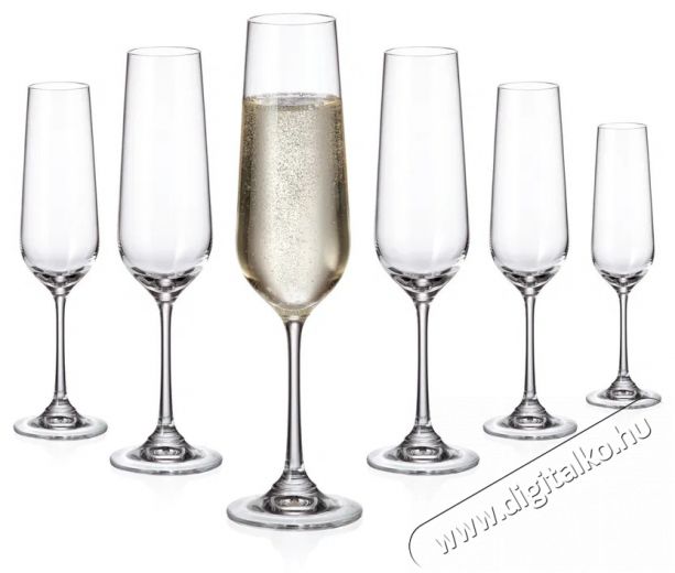 Siguro Locus pezsgőspoh&aacute;r k&eacute;szlet, 200 ml, 6 darab Konyhai term&eacute;kek - Konyhai eszk&ouml;z - Egy&eacute;b konyhai eszk&ouml;z - 526056