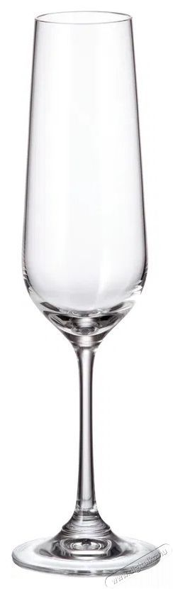 Siguro Locus pezsgőspoh&aacute;r k&eacute;szlet, 200 ml, 6 darab Konyhai term&eacute;kek - Konyhai eszk&ouml;z - Egy&eacute;b konyhai eszk&ouml;z - 526056