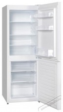 SNAIGE RF23SM-PT002E Konyhai term&eacute;kek - Hűtő, fagyaszt&oacute; (szabadon&aacute;ll&oacute;) - Alulfagyaszt&oacute;s kombin&aacute;lt hűtő - 509428