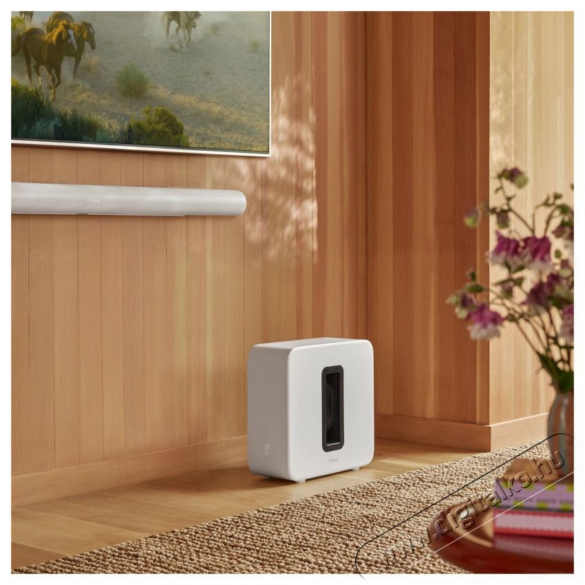 Sonos Arc Ultra feh&eacute;r + Sub 4 + 2x Era 100 Audio-Video / Hifi / Multim&eacute;dia - Hangprojektor / soundbar - M&eacute;lyl&aacute;d&aacute;val - 530482