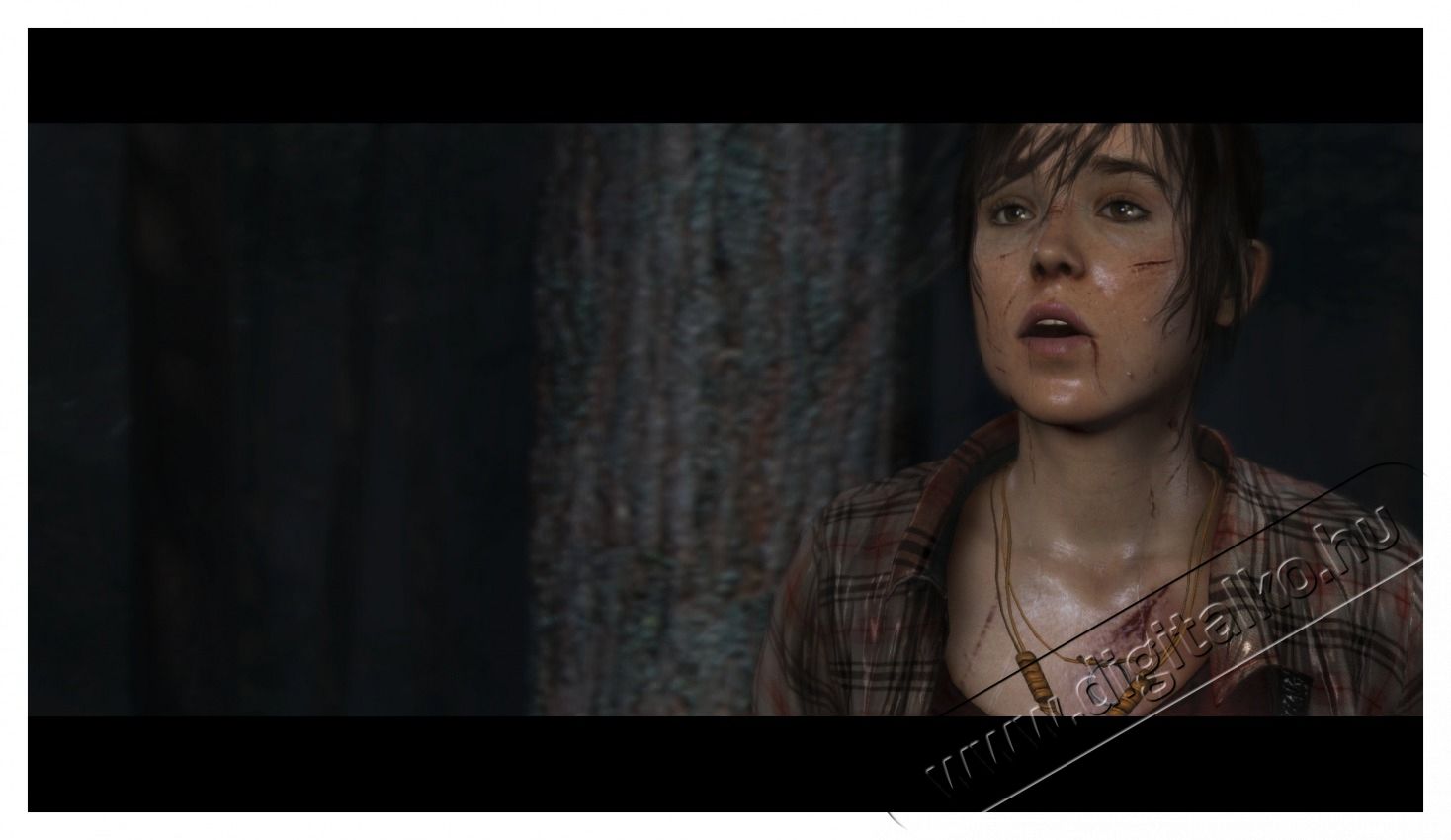 SONY Heavy Rain + Beyond two Souls Collection (magyar felirat) PS4 j&aacute;t&eacute;kszoftver Iroda &eacute;s sz&aacute;m&iacute;t&aacute;stechnika - J&aacute;t&eacute;k konzol - Playstation 4 (PS4) j&aacute;t&eacute;k - 439465