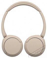 SONY WHCH520C.CE7 Bluetooth b&eacute;zs fejhallgat&oacute; Audio-Video / Hifi / Multim&eacute;dia - F&uuml;l &eacute;s Fejhallgat&oacute;k - Fejhallgat&oacute; - 462311