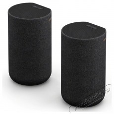 SONY SARS5.CEL hangszórók Audio-Video / Hifi / Multimédia - Hangfal - Hangfalszett - Polc / állványos/ háttér hangsugárzó - 474126