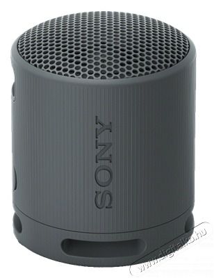 SONY SRSXB100B.CE7 fekete hordozhat&oacute; Bluetooth hangsz&oacute;r&oacute; Audio-Video / Hifi / Multim&eacute;dia - Hordozhat&oacute;, vezet&eacute;k n&eacute;lk&uuml;li / bluetooth hangsug&aacute;rz&oacute; - Hordozhat&oacute;, vezet&eacute;k n&eacute;lk&uuml;li / bluetooth hangsug&aacute;rz&oacute; - 500593