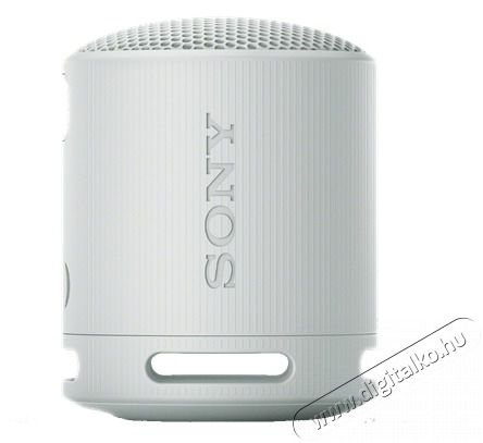 SONY SRSXB100H.CE7 vil&aacute;gossz&uuml;rke hordozhat&oacute; Bluetooth hangsz&oacute;r&oacute; Audio-Video / Hifi / Multim&eacute;dia - Hordozhat&oacute;, vezet&eacute;k n&eacute;lk&uuml;li / bluetooth hangsug&aacute;rz&oacute; - Hordozhat&oacute;, vezet&eacute;k n&eacute;lk&uuml;li / bluetooth hangsug&aacute;rz&oacute; - 500595