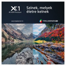 SONY 55 KD55X80LAEP 4K UHD Smart LED TV Telev&iacute;zi&oacute;k - LED telev&iacute;zi&oacute; - UHD 4K felbont&aacute;s&uacute; - 501529