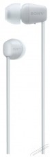 SONY WI-C100, feh&eacute;r Audio-Video / Hifi / Multim&eacute;dia - F&uuml;l &eacute;s Fejhallgat&oacute;k - F&uuml;lhallgat&oacute; - 510253