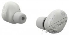 SONY WF-1000XM6S vezet&eacute;k n&eacute;lk&uuml;li f&uuml;lhallgat&oacute;, Feh&eacute;r Audio-Video / Hifi / Multim&eacute;dia - F&uuml;l &eacute;s Fejhallgat&oacute;k - F&uuml;lhallgat&oacute; - 535895