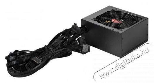 SPIRE Eagleforce ATX 600W t&aacute;pegys&eacute;g Iroda &eacute;s sz&aacute;m&iacute;t&aacute;stechnika - Egy&eacute;b sz&aacute;m&iacute;t&aacute;stechnikai term&eacute;k - 460248