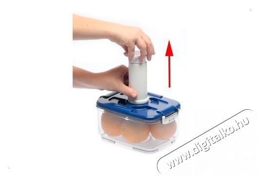 STATUS 178631 nagy v&aacute;kuumos t&aacute;rol&oacute;doboz k&eacute;szlet, piros Konyhai term&eacute;kek - Egy&eacute;b / Konyhai kieg&eacute;sz&iacute;tő - 530129