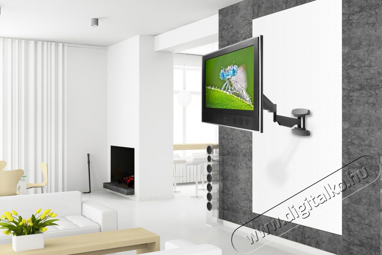 Stell SHO 3620 Kih&uacute;zhat&oacute; TV tart&oacute; fali konzol Tv kieg&eacute;sz&iacute;tők - Fali tart&oacute; / konzol - Fali tv tart&oacute; - 339216