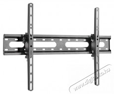 Stell SHO 4420 SLIM d&ouml;nthető univerz&aacute;lis TV tart&oacute; Tv kieg&eacute;sz&iacute;tők - Fali tart&oacute; / konzol - Fali tv tart&oacute; - 376759