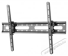Stell SHO 4420 SLIM d&ouml;nthető univerz&aacute;lis TV tart&oacute; Tv kieg&eacute;sz&iacute;tők - Fali tart&oacute; / konzol - Fali tv tart&oacute; - 376759
