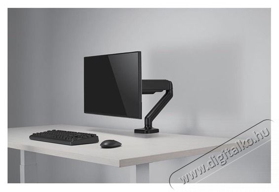 Stell SOS 2111 17-32 egykaros asztali monitor tart&oacute; konzol Fot&oacute;-Vide&oacute; kieg&eacute;sz&iacute;tők - &Aacute;llv&aacute;ny - Asztali &aacute;llv&aacute;ny - 507595