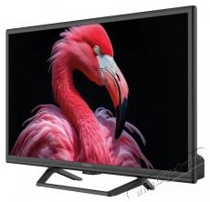 Strong 24  SRT24HG4723C Telev&iacute;zi&oacute;k - LED telev&iacute;zi&oacute; - 720p HD Ready felbont&aacute;s&uacute; - 506075