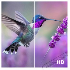 Strong 24  SRT24HG4723C Telev&iacute;zi&oacute;k - LED telev&iacute;zi&oacute; - 720p HD Ready felbont&aacute;s&uacute; - 506075