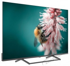 Strong 55  SRT55UG7773C Telev&iacute;zi&oacute;k - LED telev&iacute;zi&oacute; - UHD 4K felbont&aacute;s&uacute; - 506084