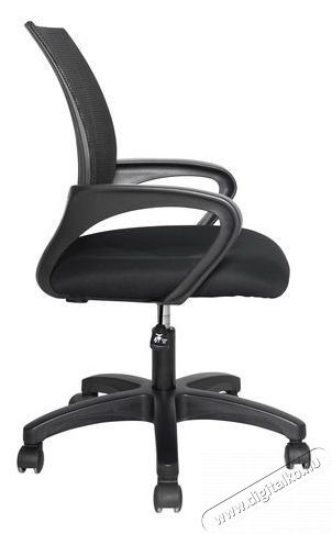 STX KB-2036 Iroda &eacute;s sz&aacute;m&iacute;t&aacute;stechnika - Egy&eacute;b sz&aacute;m&iacute;t&aacute;stechnikai term&eacute;k - 518452