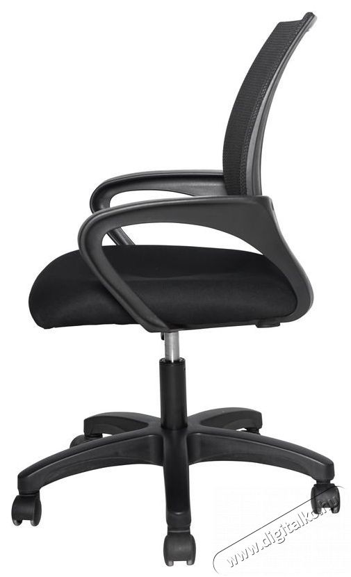 STX KB-2036 Iroda &eacute;s sz&aacute;m&iacute;t&aacute;stechnika - Egy&eacute;b sz&aacute;m&iacute;t&aacute;stechnikai term&eacute;k - 518452