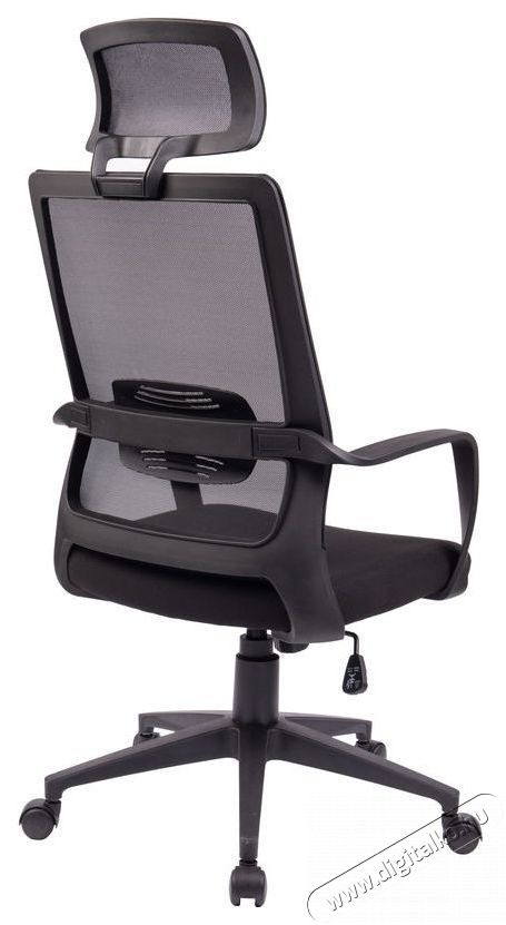 STX KB-8955AS Iroda &eacute;s sz&aacute;m&iacute;t&aacute;stechnika - Egy&eacute;b sz&aacute;m&iacute;t&aacute;stechnikai term&eacute;k - 518455