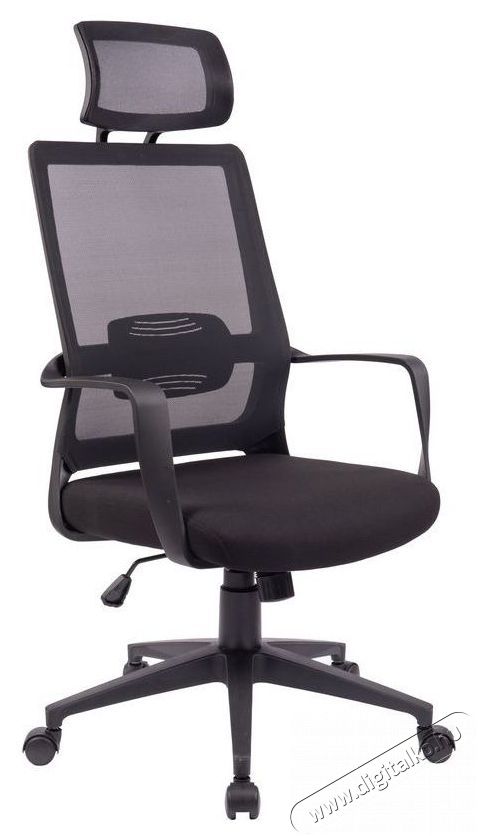 STX KB-8955AS Iroda &eacute;s sz&aacute;m&iacute;t&aacute;stechnika - Egy&eacute;b sz&aacute;m&iacute;t&aacute;stechnikai term&eacute;k - 518455