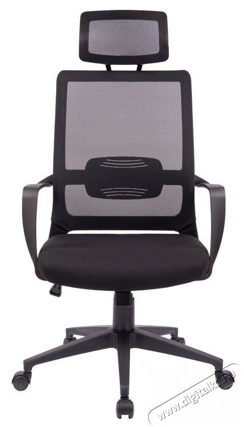 STX KB-8955AS Iroda &eacute;s sz&aacute;m&iacute;t&aacute;stechnika - Egy&eacute;b sz&aacute;m&iacute;t&aacute;stechnikai term&eacute;k - 518455