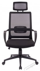STX KB-8955AS - Iroda &eacute;s sz&aacute;m&iacute;t&aacute;stechnika - Egy&eacute;b sz&aacute;m&iacute;t&aacute;stechnikai term&eacute;k - 518455