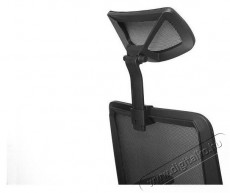 STX KB-8956AS Iroda &eacute;s sz&aacute;m&iacute;t&aacute;stechnika - Egy&eacute;b sz&aacute;m&iacute;t&aacute;stechnikai term&eacute;k - 518453