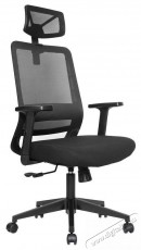 STX KB-8956AS - Iroda &eacute;s sz&aacute;m&iacute;t&aacute;stechnika - Egy&eacute;b sz&aacute;m&iacute;t&aacute;stechnikai term&eacute;k - 518453