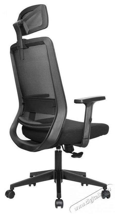 STX KB-8956AS Iroda &eacute;s sz&aacute;m&iacute;t&aacute;stechnika - Egy&eacute;b sz&aacute;m&iacute;t&aacute;stechnikai term&eacute;k - 518453