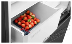 TCL RC456CSD0 Konyhai term&eacute;kek - Hűtő, fagyaszt&oacute; (szabadon&aacute;ll&oacute;) - Amerikai t&iacute;pus&uacute; Side By Side hűtő - 509611